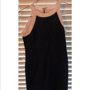 Lauren James Dress! NWT